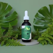 Chlorophyll Elixir