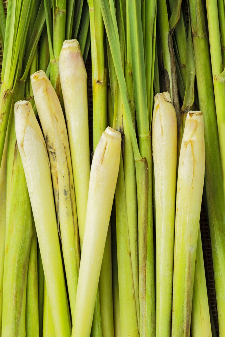 Lemongrass