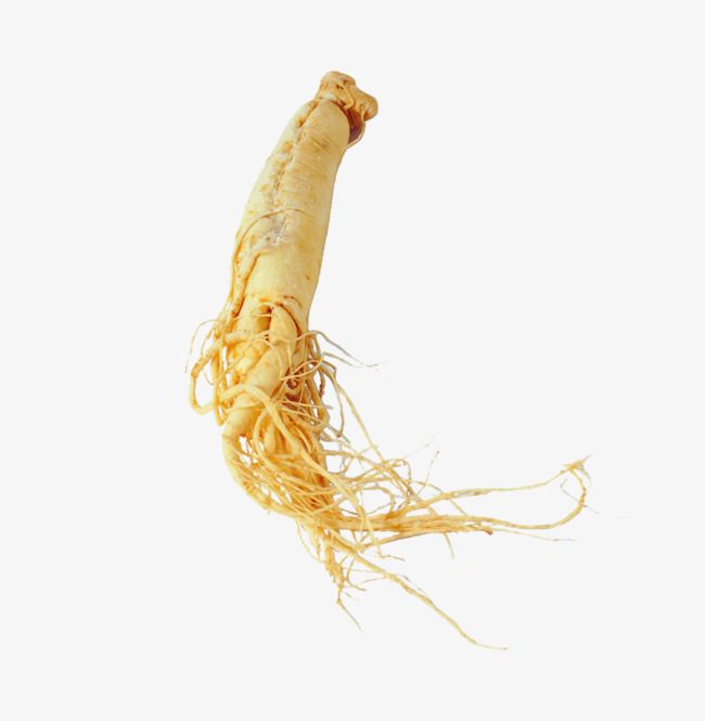 Siberian Ginseng